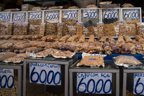 Gestão administrativa: para microempreendedores